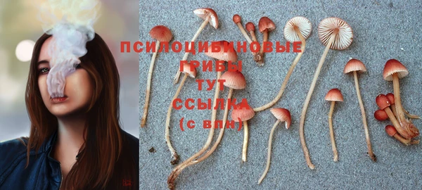 a pvp Армянск