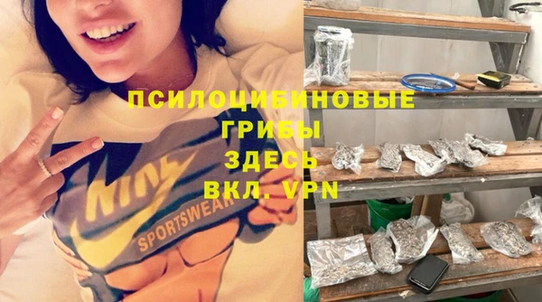 spice Аркадак