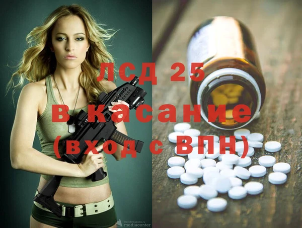 spice Аркадак