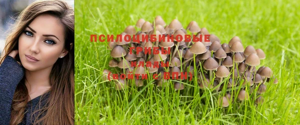 прущая мука Арсеньев