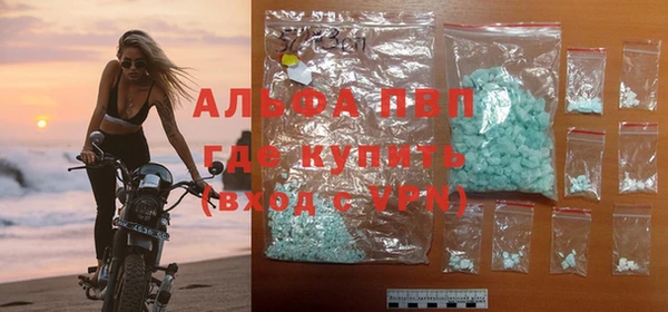 spice Аркадак