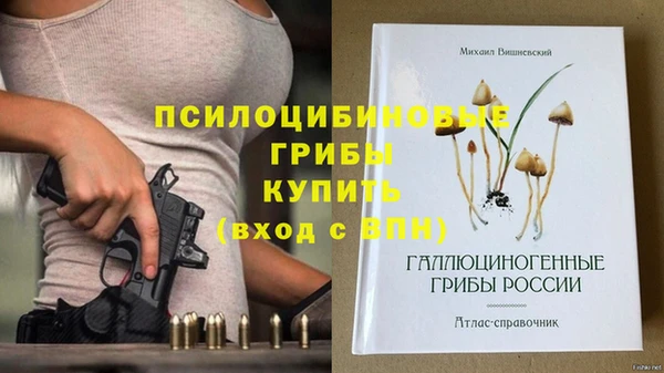 a pvp Армянск