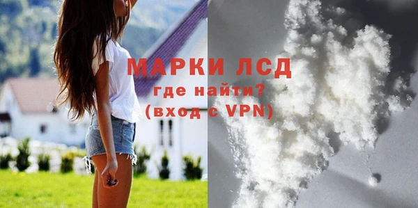 spice Аркадак