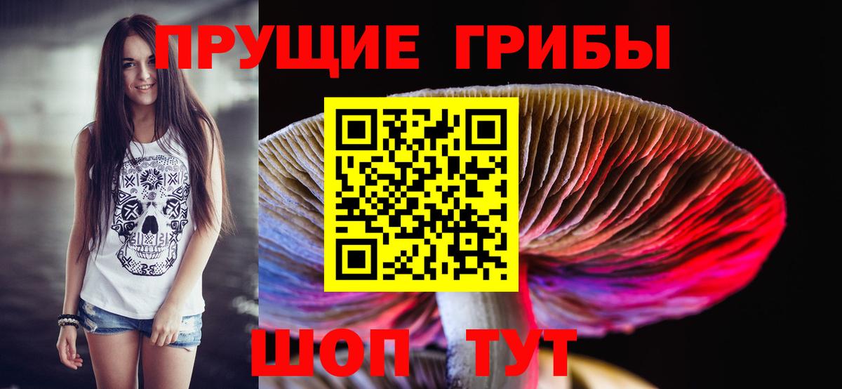 Междуреченск  Галлюциногенные грибы MAGIC MUSHROOMS  цены   Вход с VPN 